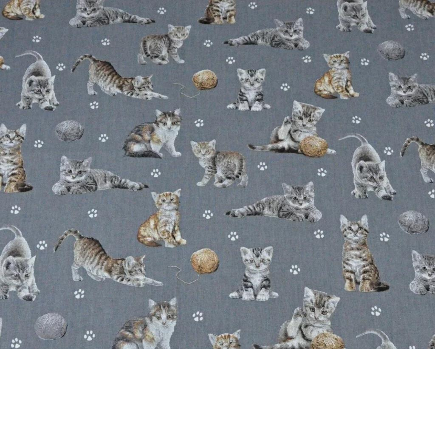 Tissu Coton Motif Chats Fond Gris Foncé